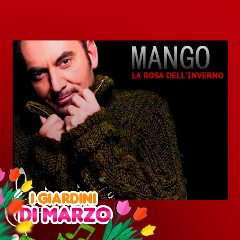 La rosa dell'inverno